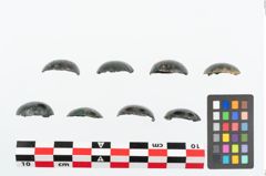 Foto von Bronzeniet (NHMW-PRAE-025909)